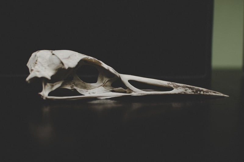Future Remnants